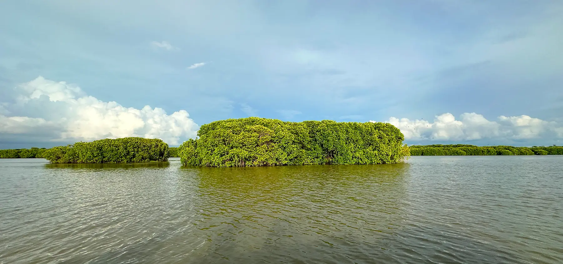 Negombo Lagoon