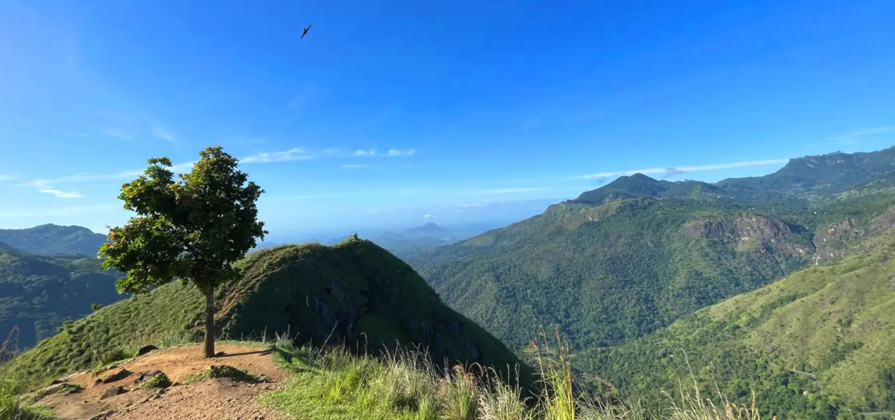 Little Adams Peak