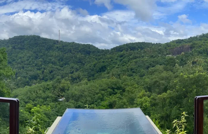 Mountain Jungle Pool