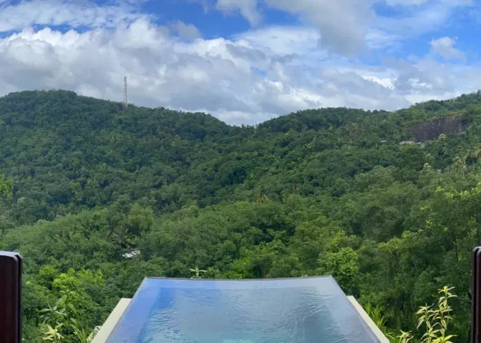 Mountain Jungle Pool