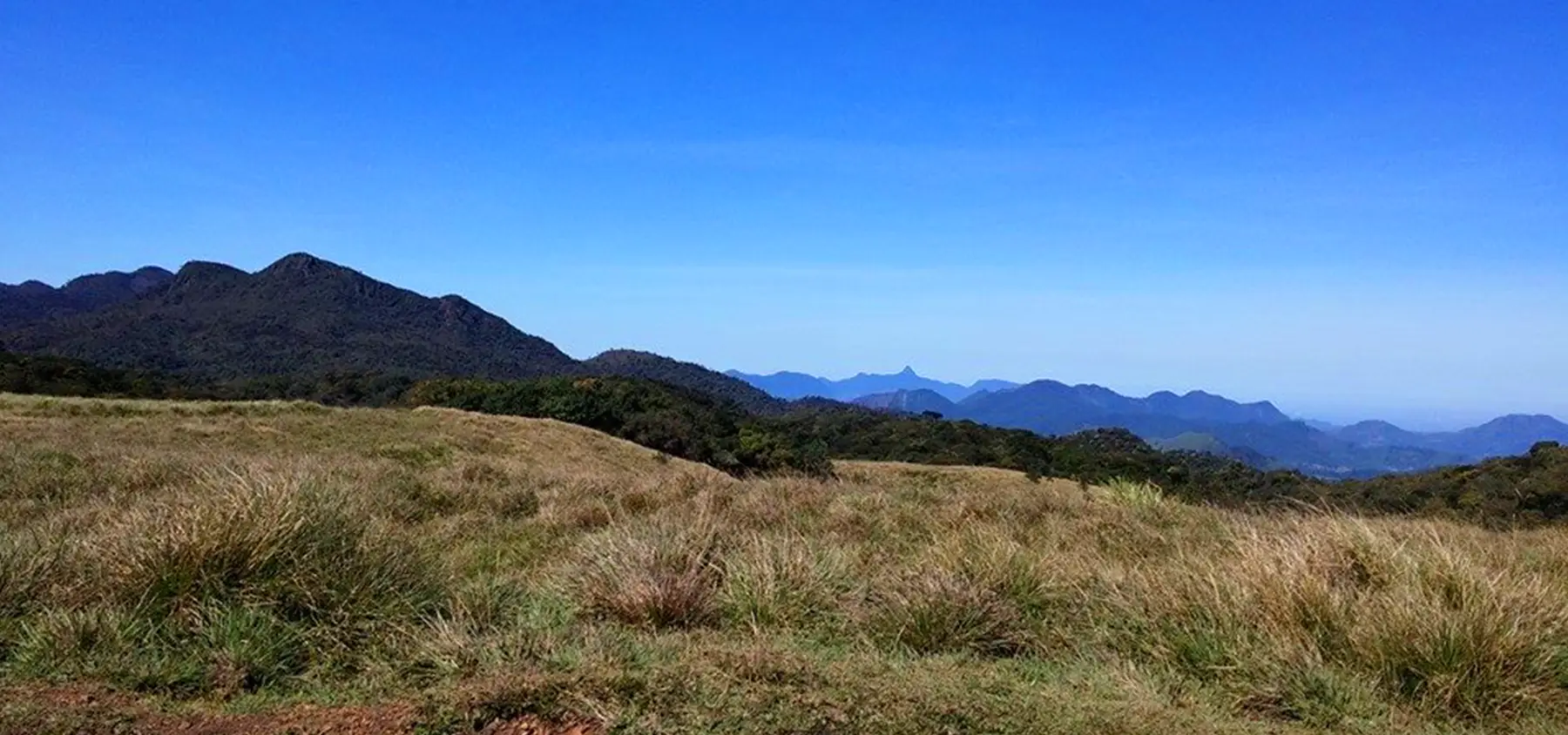 Horton Plains National Park