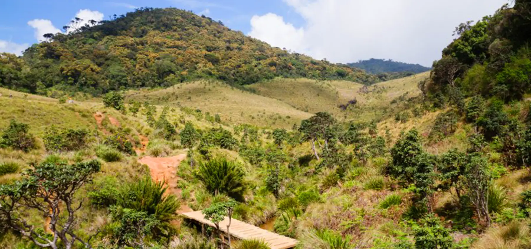 Horton Plains National Park