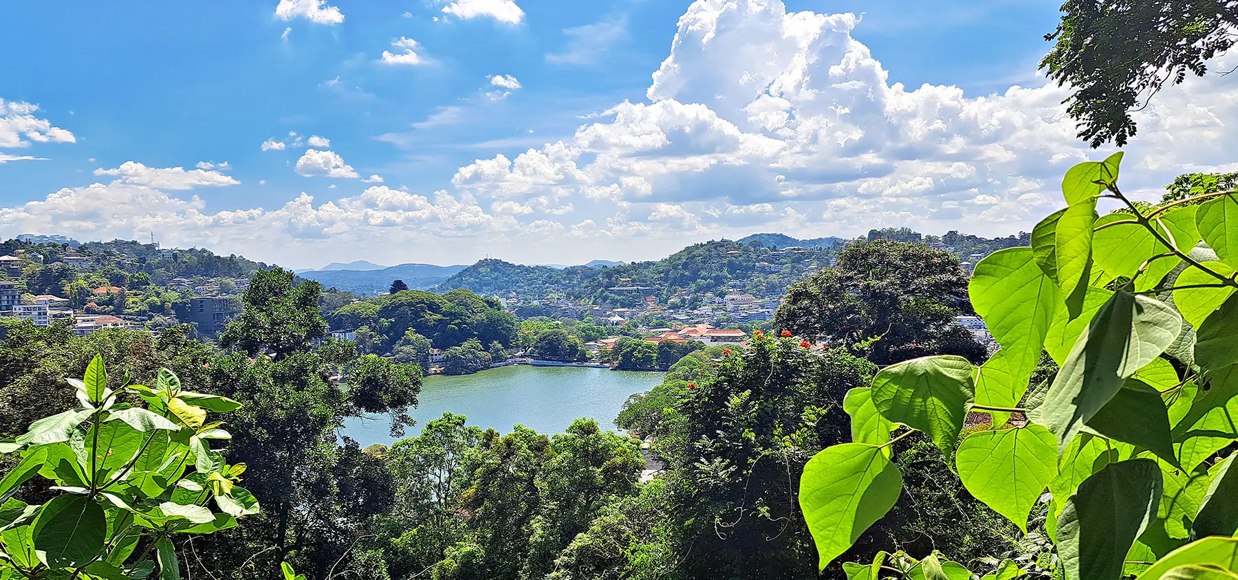 Udawattakele Kandy Lake